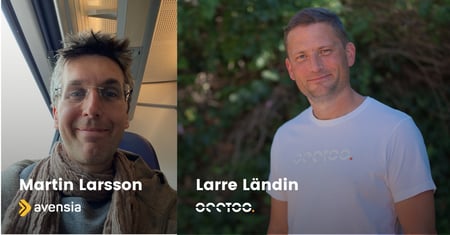 Larre Ländin Martin Larsson Co-hosted webinar Avensia