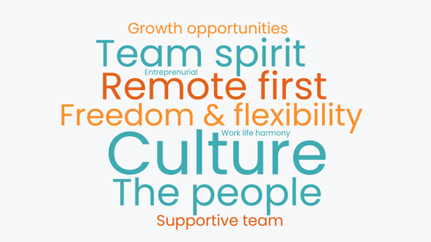 Team members about culture at Occtoo